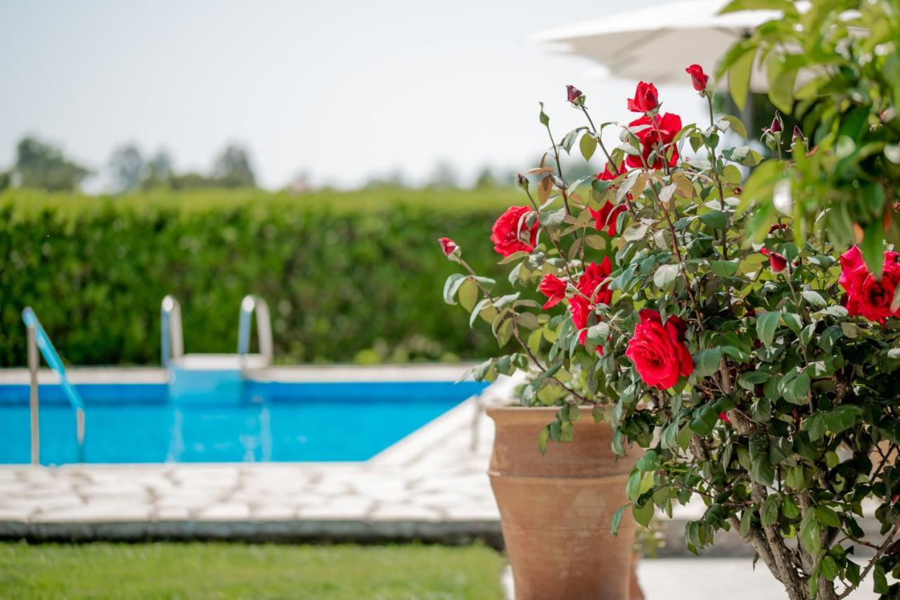 Villa In Pietra Kalamaras Makhairádhon Exteriér fotografie